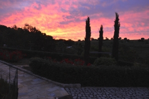 Giardino di fronte l'appartamento/Garden outside the apartment